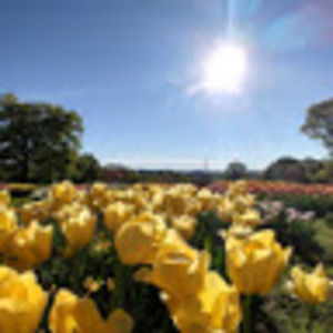 Meet your Posher, Ethan